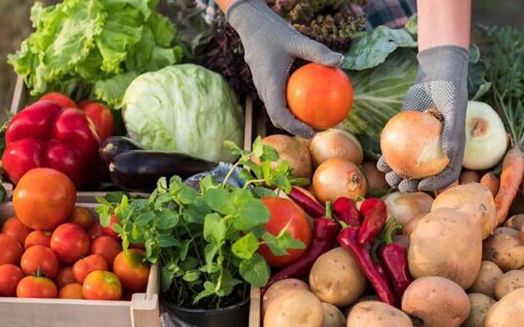 Save Big at Farmers Markets: Budget-Friendly Tips