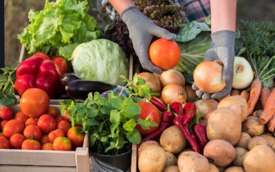 Save Big at Farmers Markets: Budget-Friendly Tips