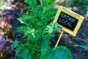 Benefits of locally grown produce