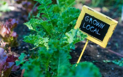 Flavor, Variety and More: The Benefits of Locally-Grown Produce