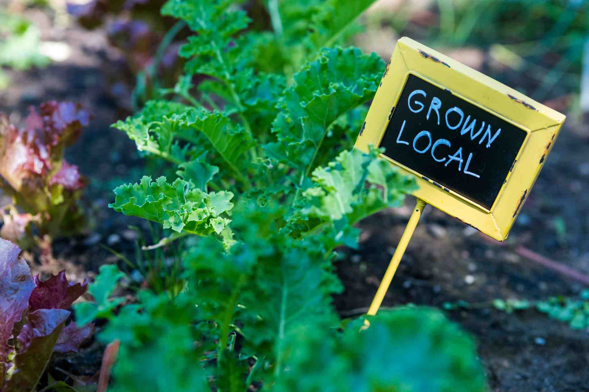Benefits of locally grown produce